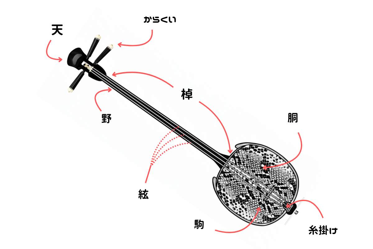 三線のパーツ名称を徹底解説！各部位の特徴や役割まとめ【初心者向け】